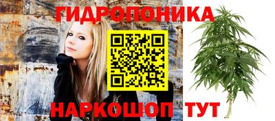 кокаин колумбия Тара