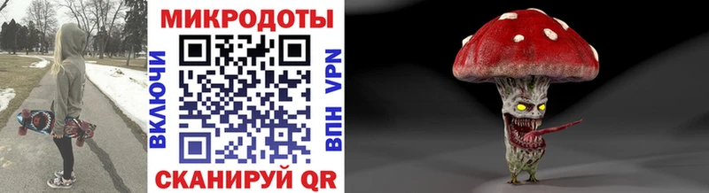 купить наркоту Белгород Галлюциногенные грибы Psilocybe